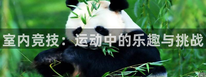 室内竞技：运动中的乐趣与挑战