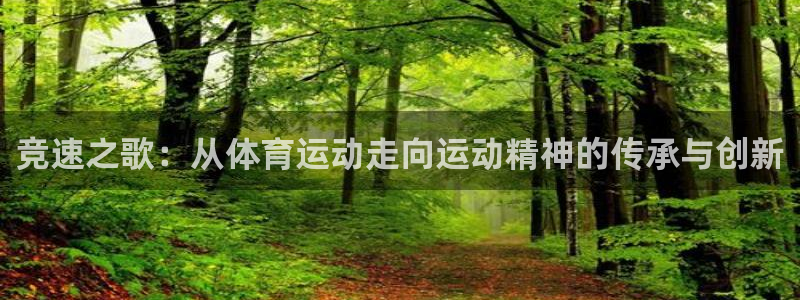 竞速之歌：从体育运动走向运动精神的传承与创新