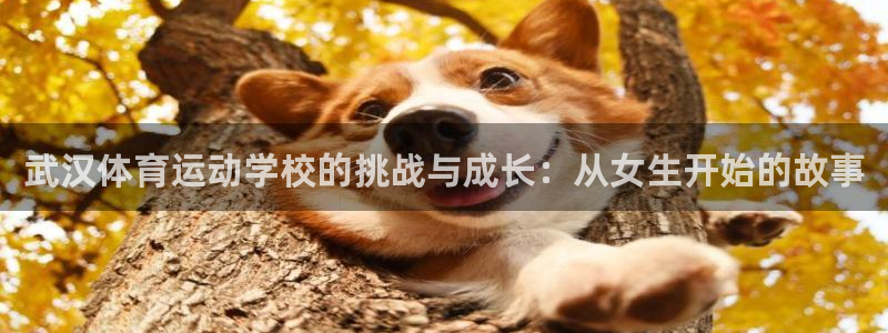 武汉体育运动学校的挑战与成长：从女生开始的故事