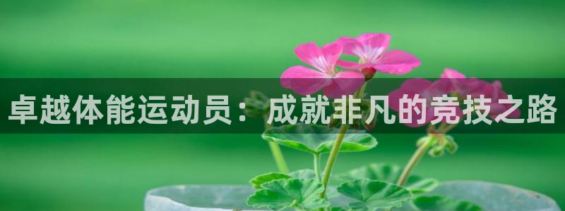卓越体能运动员：成就非凡的竞技之路