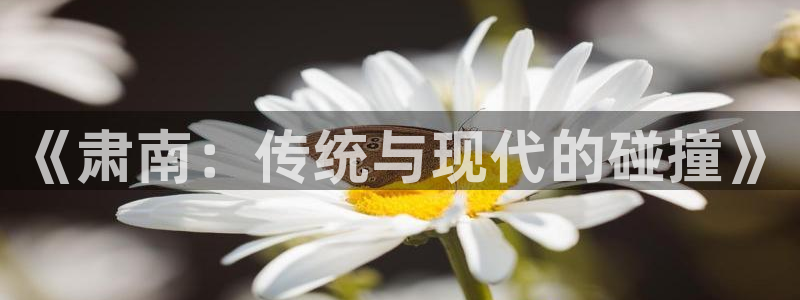 《肃南：传统与现代的碰撞》