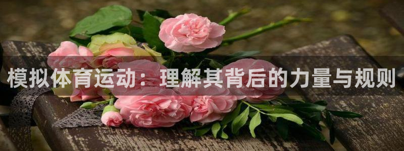 模拟体育运动：理解其背后的力量与规则